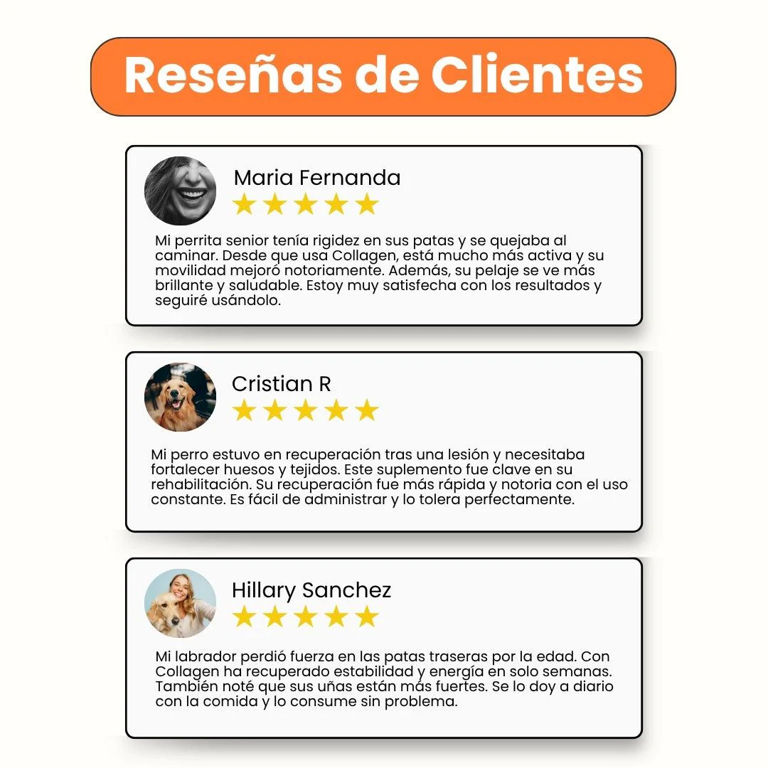 Suplemento Flex Collagen en Polvo con Colágeno y Ácido Hialurónico Kanu Vet para Perros - Image 4