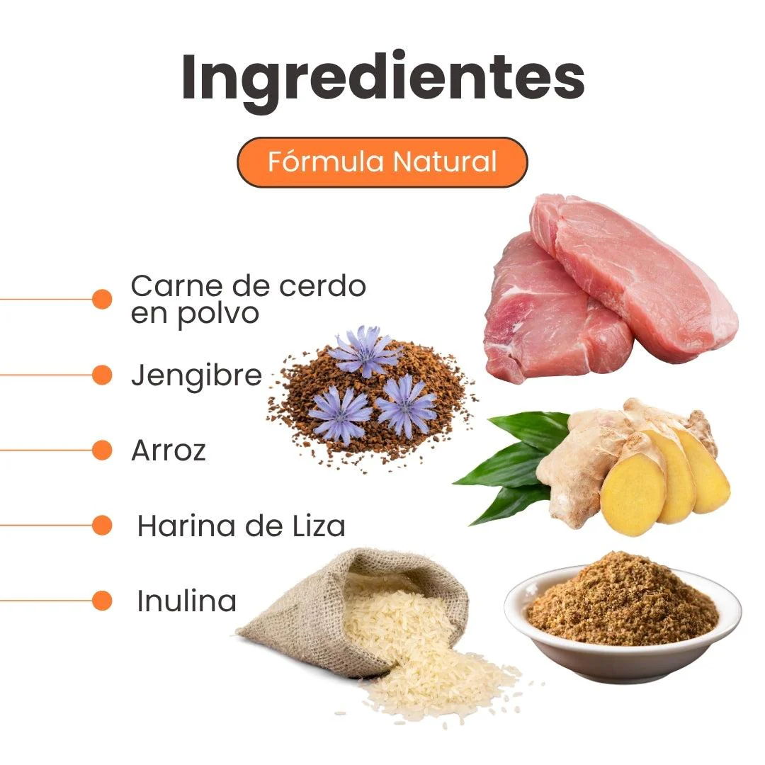 Suplemento Digestivo BioDigest con Probióticos Kanu Pet para Perros de Todas las Edades - Image 3