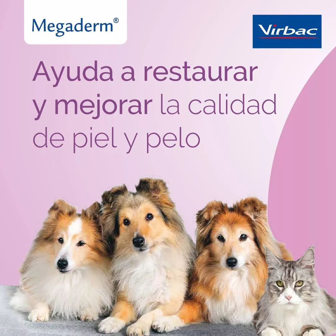 Suplemento MegadermOmega-3 y Omega-6 para Perros y Gatos <10Kg - Image 5
