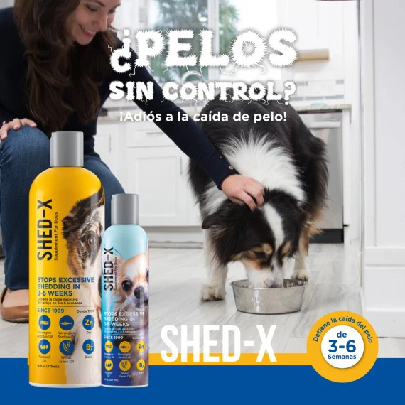 Shed x dog para perro - Image 2